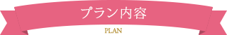 プラン内容