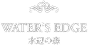水辺の森